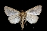  ( - MAL-01851)  @13 [ ] Unspecified (default): All Rights Reserved  Unspecified Unspecified