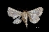  ( - MAL-01862)  @13 [ ] Unspecified (default): All Rights Reserved  Unspecified Unspecified