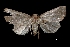 ( - MAL-01867)  @13 [ ] Unspecified (default): All Rights Reserved  Unspecified Unspecified