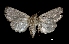  ( - MAL-01875)  @13 [ ] Unspecified (default): All Rights Reserved  Unspecified Unspecified