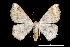  ( - MAL-01899)  @14 [ ] Unspecified (default): All Rights Reserved  Unspecified Unspecified