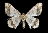  ( - MAL-01954)  @14 [ ] Unspecified (default): All Rights Reserved  Unspecified Unspecified