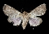  ( - MAL-01980)  @13 [ ] Unspecified (default): All Rights Reserved  Unspecified Unspecified