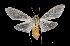  ( - MAL-01982)  @14 [ ] Unspecified (default): All Rights Reserved  Unspecified Unspecified