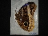  ( - MAL-02488)  @12 [ ] Unspecified (default): All Rights Reserved  Unspecified Unspecified