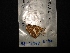  ( - MAL-02547)  @12 [ ] Unspecified (default): All Rights Reserved  Unspecified Unspecified