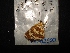  ( - MAL-02550)  @12 [ ] Unspecified (default): All Rights Reserved  Unspecified Unspecified