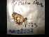  ( - MAL-02552)  @12 [ ] Unspecified (default): All Rights Reserved  Unspecified Unspecified