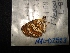  ( - MAL-02553)  @12 [ ] Unspecified (default): All Rights Reserved  Unspecified Unspecified