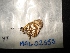 ( - MAL-02555)  @12 [ ] Unspecified (default): All Rights Reserved  Unspecified Unspecified