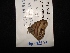  ( - MAL-02557)  @12 [ ] Unspecified (default): All Rights Reserved  Unspecified Unspecified