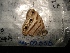  ( - MAL-02558)  @12 [ ] Unspecified (default): All Rights Reserved  Unspecified Unspecified