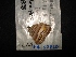  ( - MAL-02560)  @12 [ ] Unspecified (default): All Rights Reserved  Unspecified Unspecified