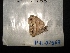  ( - MAL-02563)  @12 [ ] Unspecified (default): All Rights Reserved  Unspecified Unspecified
