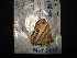  ( - MAL-02567)  @12 [ ] Unspecified (default): All Rights Reserved  Unspecified Unspecified