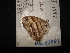  ( - MAL-02569)  @12 [ ] Unspecified (default): All Rights Reserved  Unspecified Unspecified