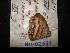  ( - MAL-02571)  @12 [ ] Unspecified (default): All Rights Reserved  Unspecified Unspecified