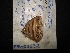  ( - MAL-02572)  @12 [ ] Unspecified (default): All Rights Reserved  Unspecified Unspecified