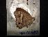  ( - MAL-02580)  @12 [ ] Unspecified (default): All Rights Reserved  Unspecified Unspecified