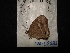  ( - MAL-02582)  @12 [ ] Unspecified (default): All Rights Reserved  Unspecified Unspecified