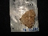  ( - MAL-02583)  @12 [ ] Unspecified (default): All Rights Reserved  Unspecified Unspecified