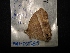  ( - MAL-02585)  @12 [ ] Unspecified (default): All Rights Reserved  Unspecified Unspecified