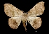  ( - MAL-03008)  @13 [ ] Unspecified (default): All Rights Reserved  Unspecified Unspecified