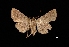  ( - MAL-03098)  @13 [ ] Unspecified (default): All Rights Reserved  Unspecified Unspecified