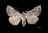 ( - MAL-03109)  @14 [ ] Unspecified (default): All Rights Reserved  Unspecified Unspecified