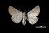  ( - MAL-03109)  @14 [ ] Unspecified (default): All Rights Reserved  Unspecified Unspecified