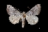  ( - MAL-03084)  @14 [ ] Unspecified (default): All Rights Reserved  Unspecified Unspecified