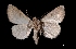 ( - MAL-03084)  @14 [ ] Unspecified (default): All Rights Reserved  Unspecified Unspecified