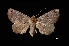  ( - MAL-03078)  @14 [ ] Unspecified (default): All Rights Reserved  Unspecified Unspecified