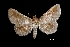  ( - MAL-01274)  @13 [ ] Unspecified (default): All Rights Reserved  Unspecified Unspecified