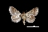  ( - MAL-01274)  @13 [ ] Unspecified (default): All Rights Reserved  Unspecified Unspecified