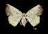  ( - MAL-01311)  @13 [ ] Unspecified (default): All Rights Reserved  Unspecified Unspecified