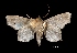  ( - MAL-01314)  @13 [ ] Unspecified (default): All Rights Reserved  Unspecified Unspecified
