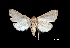  ( - MAL-01395)  @13 [ ] Unspecified (default): All Rights Reserved  Unspecified Unspecified