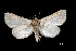  ( - MAL-01401)  @13 [ ] Unspecified (default): All Rights Reserved  Unspecified Unspecified
