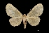  (Eubaphe sp - MAL-01404)  @14 [ ] Unspecified (default): All Rights Reserved  Unspecified Unspecified