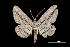  ( - MAL-01410)  @13 [ ] Unspecified (default): All Rights Reserved  Unspecified Unspecified