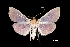  ( - MAL-01413)  @13 [ ] Unspecified (default): All Rights Reserved  Unspecified Unspecified