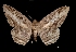  ( - MAL-01426)  @13 [ ] Unspecified (default): All Rights Reserved  Unspecified Unspecified