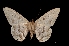  ( - MAL-01426)  @12 [ ] Unspecified (default): All Rights Reserved  Unspecified Unspecified