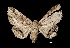  ( - MAL-01480)  @13 [ ] Unspecified (default): All Rights Reserved  Unspecified Unspecified