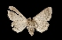 ( - MAL-01480)  @13 [ ] Unspecified (default): All Rights Reserved  Unspecified Unspecified