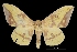  ( - MAL-01511)  @14 [ ] Unspecified (default): All Rights Reserved  Unspecified Unspecified