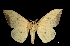  ( - MAL-01512)  @14 [ ] Unspecified (default): All Rights Reserved  Unspecified Unspecified