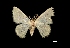  ( - MAL-01632)  @13 [ ] Unspecified (default): All Rights Reserved  Unspecified Unspecified