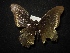  ( - MAL-02022)  @12 [ ] Unspecified (default): All Rights Reserved  Unspecified Unspecified
